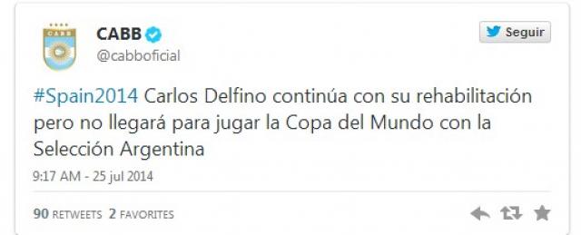 Delfino no jugar el Mundial de Espaa 2014